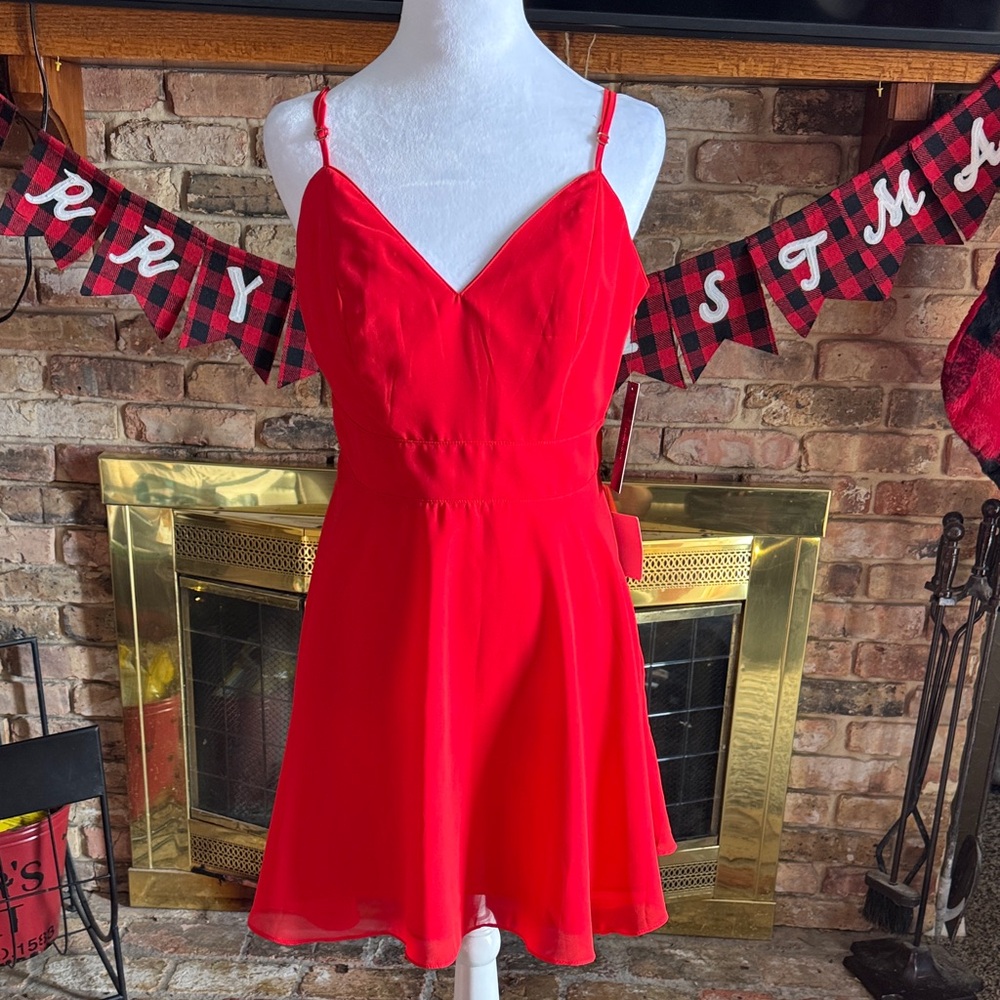 Lulu's Scarlet Lace Chemise